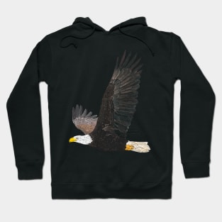 American Bald Eagle Detailed Drawing Hoodie